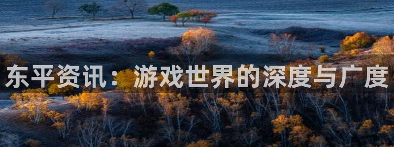 奇亿娱乐平台官网入口：东平资讯：游戏世界的深度与广度