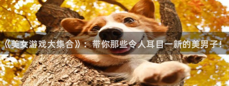 奇亿娱乐登录网址：《美女游戏大集合》：带你那些令人耳目一新的