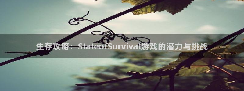 奇亿娱乐官方平台：生存攻略：StateofSurvival游