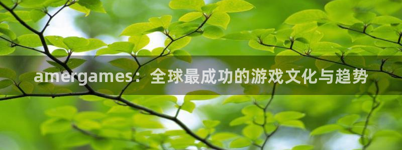 奇亿娱乐登陆测速：amergames：全球最成功的游戏文化与