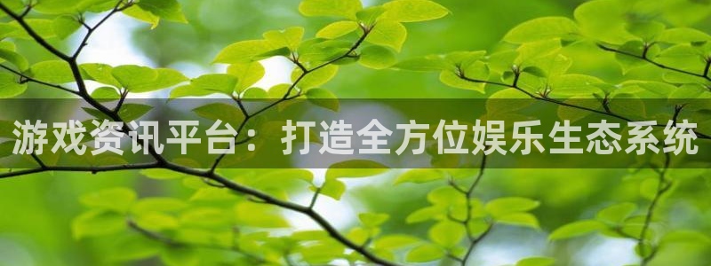 奇亿娱乐4招商：游戏资讯平台：打造全方位娱乐生态系统