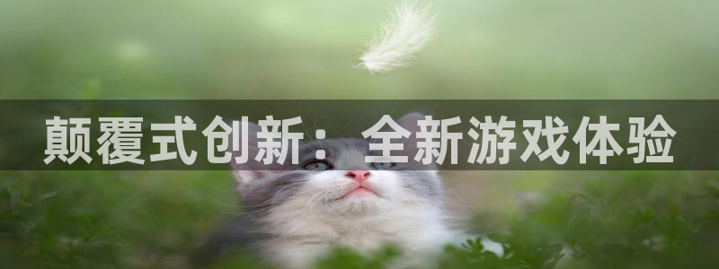奇亿娱乐平台登录线路：颠覆式创新：全新游戏体验