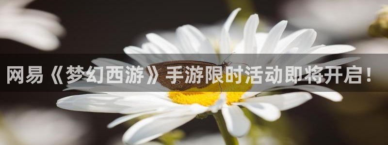 奇亿娱乐平台负责人：网易《梦幻西游》手游限时活动即将开启！