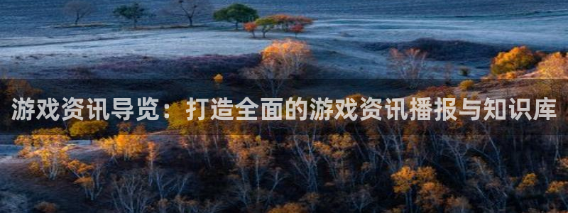 奇亿娱乐主管：游戏资讯导览：打造全面的游戏资讯播报与知识库